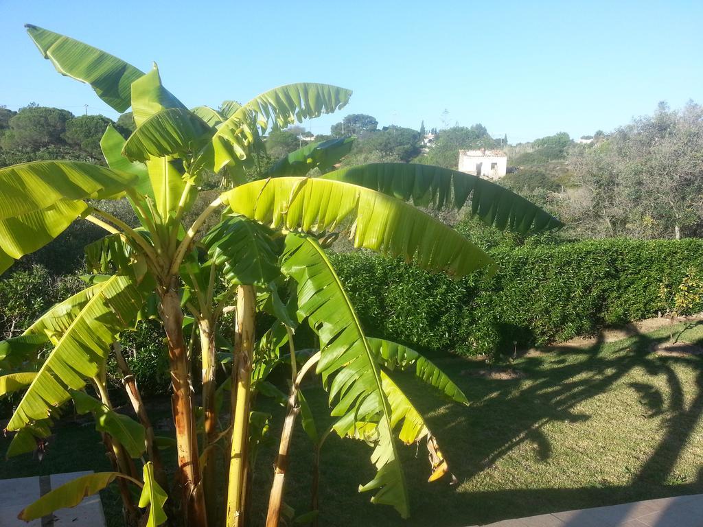 Casa Cereja 'Adults Only' Bed & Breakfast Albufeira Dış mekan fotoğraf