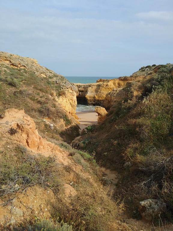 Casa Cereja 'Adults Only' Bed & Breakfast Albufeira Dış mekan fotoğraf