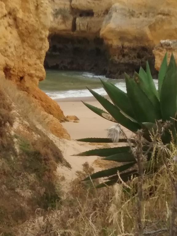 Casa Cereja 'Adults Only' Bed & Breakfast Albufeira Dış mekan fotoğraf