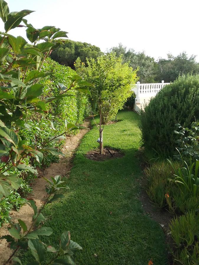 Casa Cereja 'Adults Only' Bed & Breakfast Albufeira Dış mekan fotoğraf