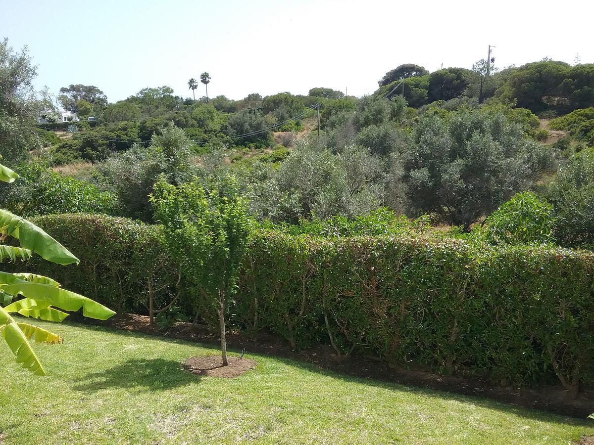 Casa Cereja 'Adults Only' Bed & Breakfast Albufeira Dış mekan fotoğraf